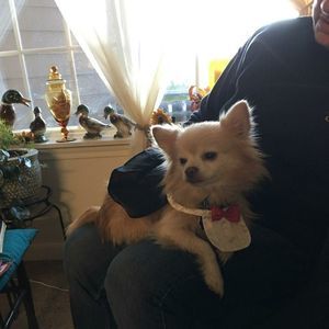 Meet your Posher, Marlene